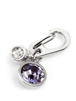 0090 CRYSTALLIZED WITH RHODIUM DIAMOND CHARM (TANZANITE)